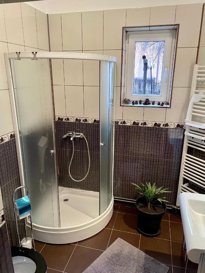 Mosaico Alfetta Hostel Тимишоара Екстериор снимка