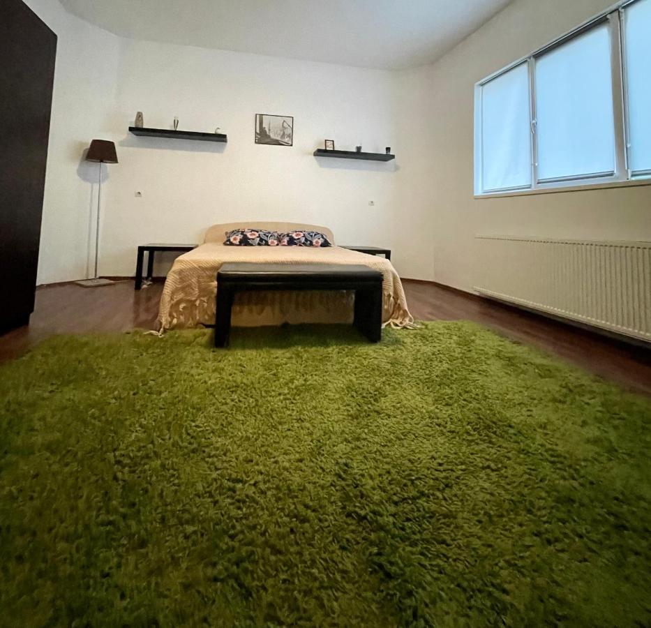 Mosaico Alfetta Hostel Тимишоара Екстериор снимка