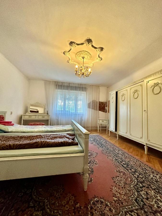Mosaico Alfetta Hostel Тимишоара Екстериор снимка